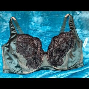 Adore me green lace bra